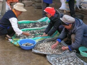 6307554487_851d10c595_o